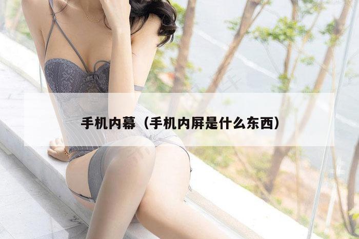 手机内幕（手机内屏是什么东西）