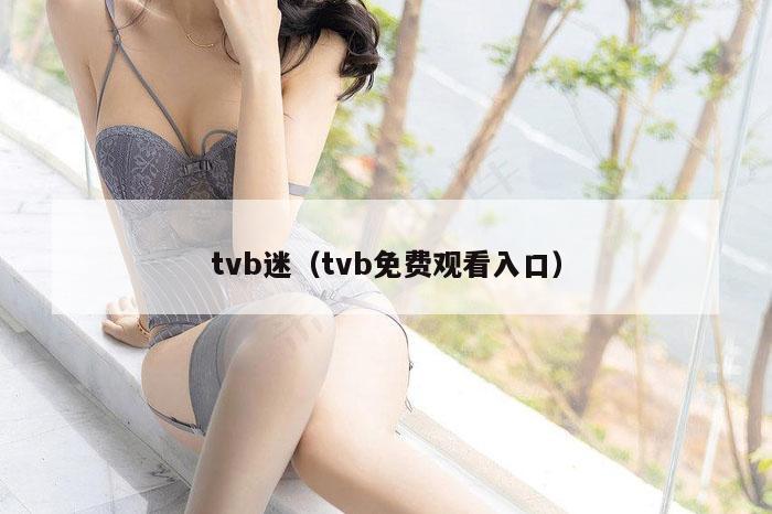 tvb迷（tvb免费观看入口）